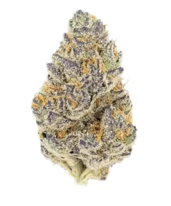 Buy Blue Dream online in UAE
