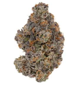 Buy Godfather OG online in UAE