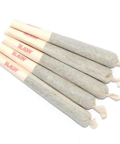 Buy Gorilla Glue Pre-Rolled in UAE