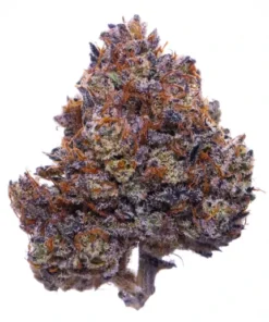 Buy Purple Haze online in UAE